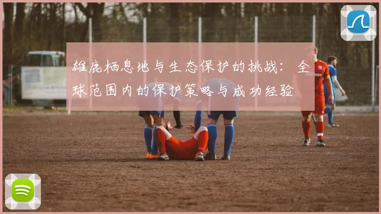 雄鹿栖息地与生态保护的挑战：全球范围内的保护策略与成功经验