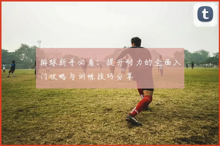 排球新手必看：提升耐力的全面入门攻略与训练技巧分享