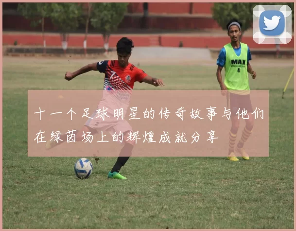 十一个足球明星的传奇故事与他们在绿茵场上的辉煌成就分享
