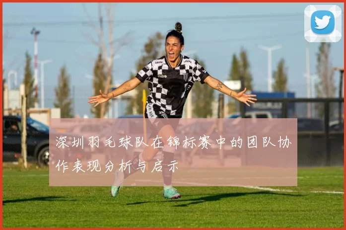 深圳羽毛球队在锦标赛中的团队协作表现分析与启示