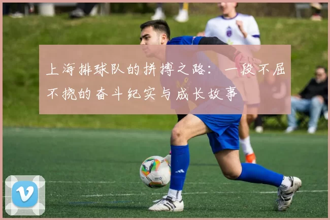 上海排球队的拼搏之路：一段不屈不挠的奋斗纪实与成长故事