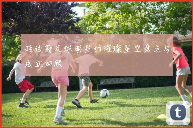 延边籍足球明星的璀璨星空盘点与成就回顾