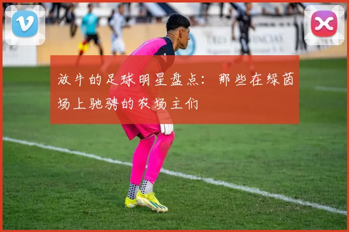 放牛的足球明星盘点：那些在绿茵场上驰骋的农场主们