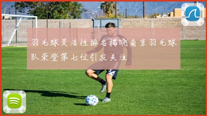 羽毛球灵活性排名揭晓南京羽毛球队荣登第七位引发关注
