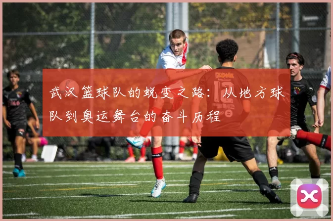 武汉篮球队的蜕变之路：从地方球队到奥运舞台的奋斗历程
