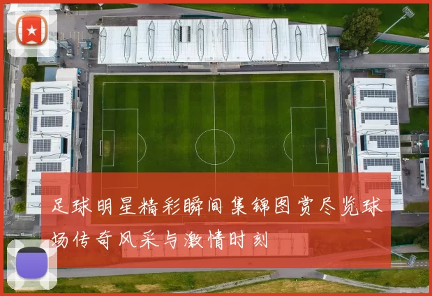 足球明星精彩瞬间集锦图赏尽览球场传奇风采与激情时刻