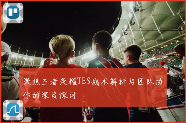 聚焦王者荣耀TES战术解析与团队协作的深度探讨