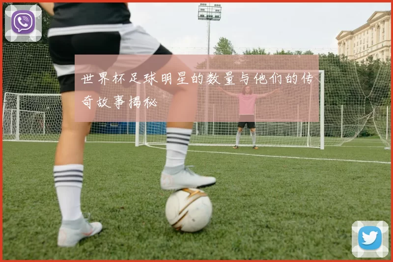 世界杯足球明星的数量与他们的传奇故事揭秘