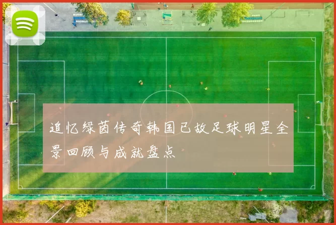 追忆绿茵传奇韩国已故足球明星全景回顾与成就盘点