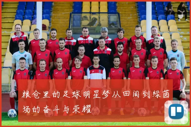 粮仓里的足球明星梦从田间到绿茵场的奋斗与荣耀