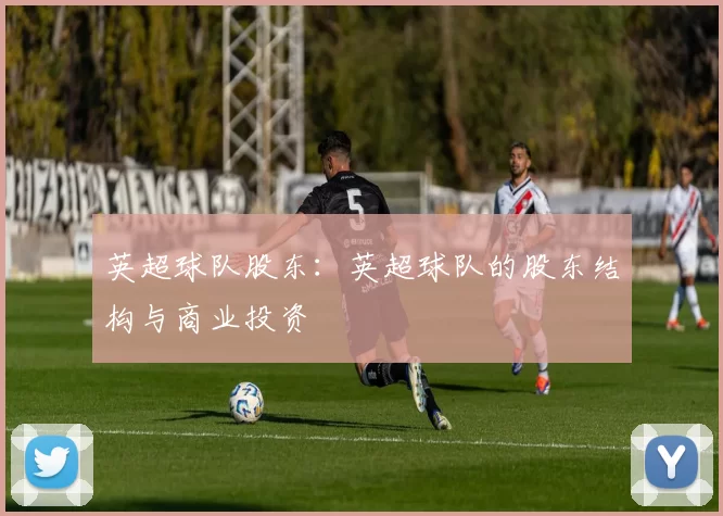 英超球队股东：英超球队的股东结构与商业投资