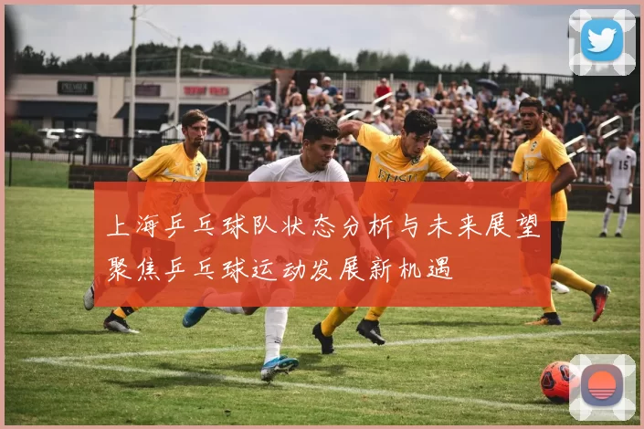 上海乒乓球队状态分析与未来展望聚焦乒乓球运动发展新机遇