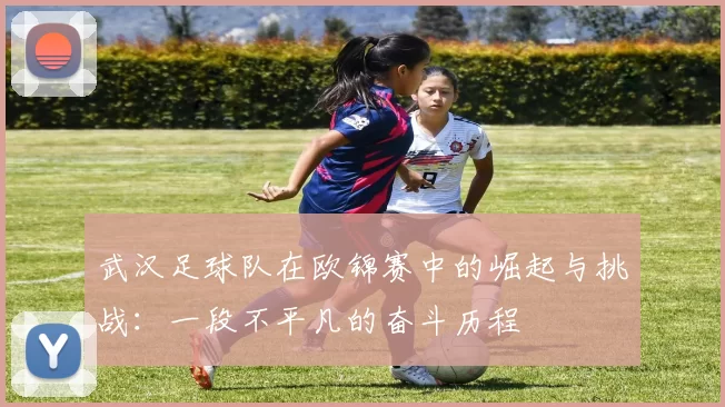 武汉足球队在欧锦赛中的崛起与挑战：一段不平凡的奋斗历程