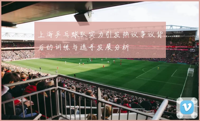上海乒乓球队实力引发热议争议背后的训练与选手发展分析