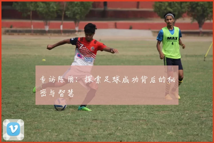 专访陈丽：探索足球成功背后的秘密与智慧