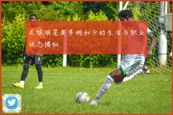 足球明星奥多姆如今的生活与职业状态揭秘