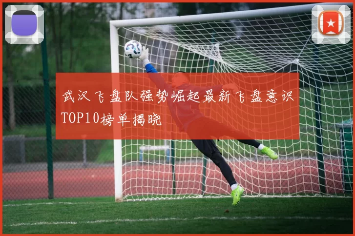 武汉飞盘队强势崛起最新飞盘意识TOP10榜单揭晓