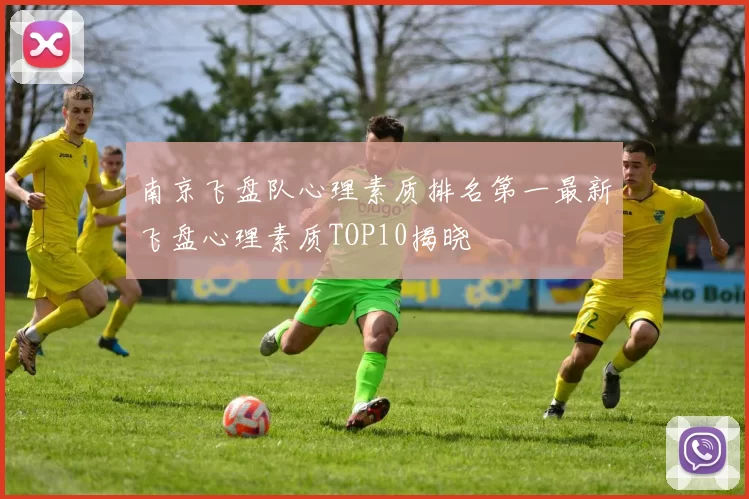 南京飞盘队心理素质排名第一最新飞盘心理素质TOP10揭晓