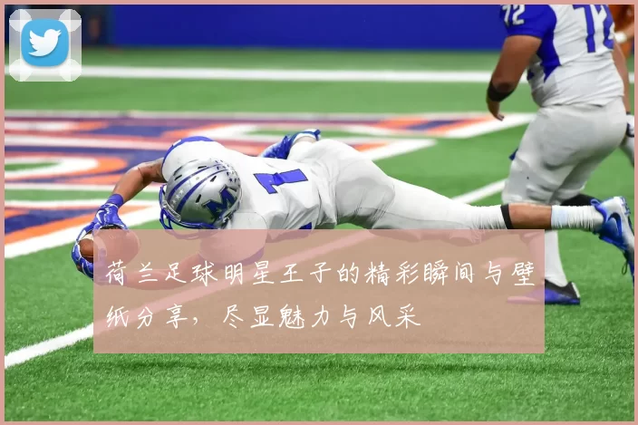 荷兰足球明星王子的精彩瞬间与壁纸分享，尽显魅力与风采