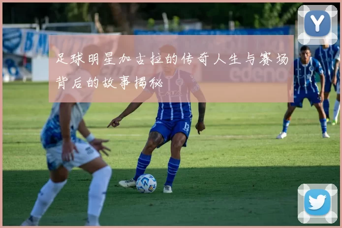 足球明星加古拉的传奇人生与赛场背后的故事揭秘