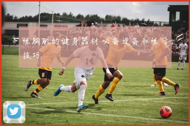 练胸肌的健身器材 必备设备和练习技巧