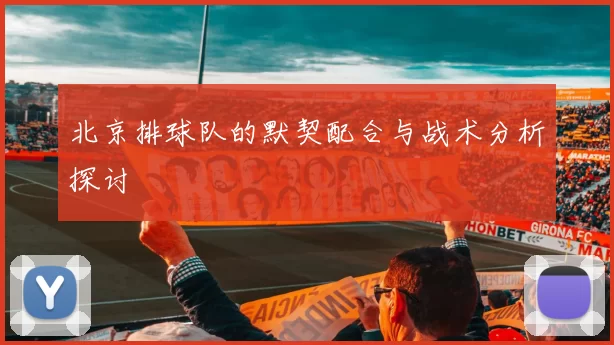 北京排球队的默契配合与战术分析探讨