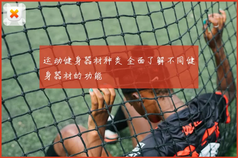 运动健身器材种类 全面了解不同健身器材的功能