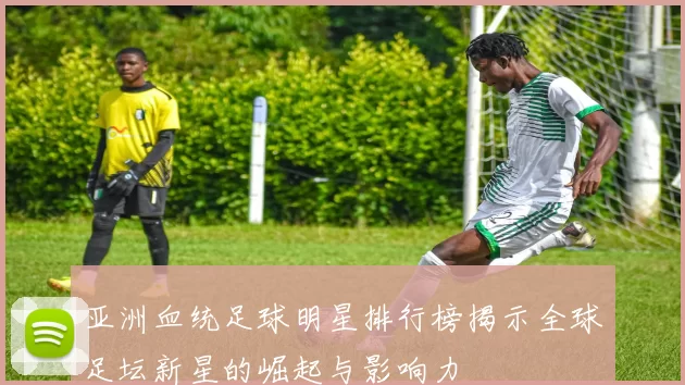亚洲血统足球明星排行榜揭示全球足坛新星的崛起与影响力