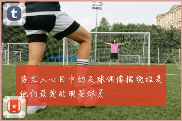 芬兰人心目中的足球偶像揭晓谁是他们最爱的明星球员