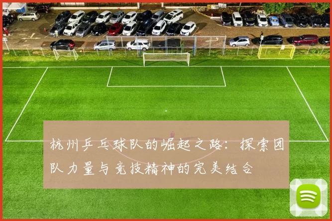 杭州乒乓球队的崛起之路：探索团队力量与竞技精神的完美结合