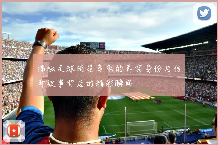 揭秘足球明星乌龟的真实身份与传奇故事背后的精彩瞬间