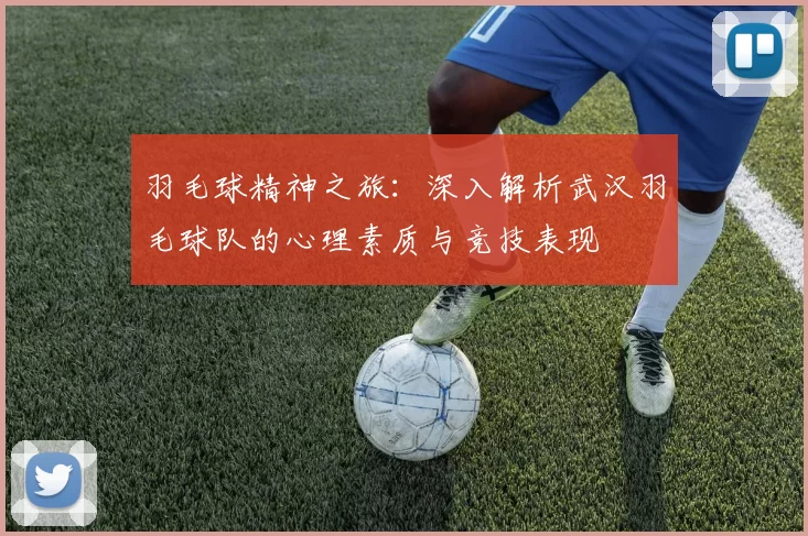 羽毛球精神之旅：深入解析武汉羽毛球队的心理素质与竞技表现
