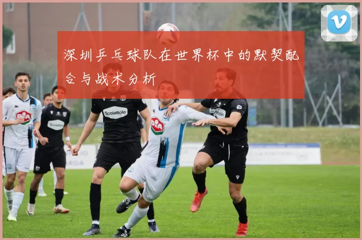 深圳乒乓球队在世界杯中的默契配合与战术分析