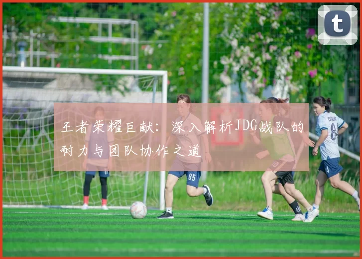 王者荣耀巨献：深入解析JDG战队的耐力与团队协作之道