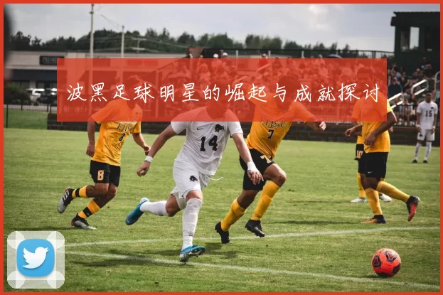 波黑足球明星的崛起与成就探讨